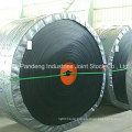 Conveyor System/Rubber Conveyor Belt/Oil-Resistant Conveyor Belt